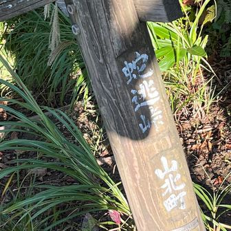 ここは蛇逃峠、ジャノトウゲと読むらしい
