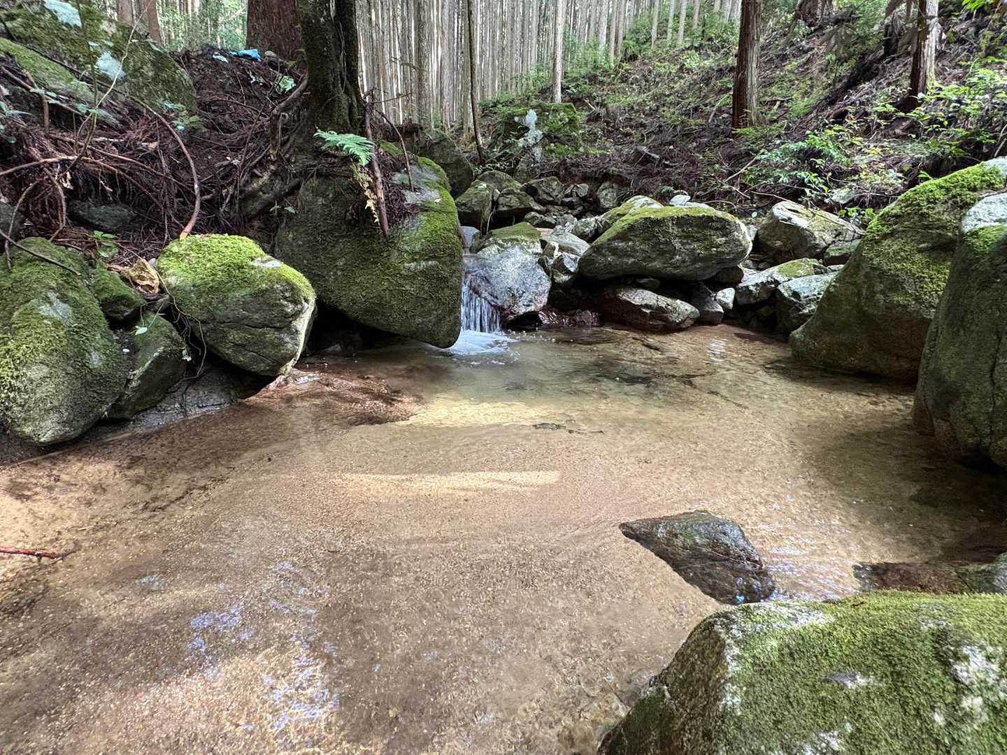 きれい😍