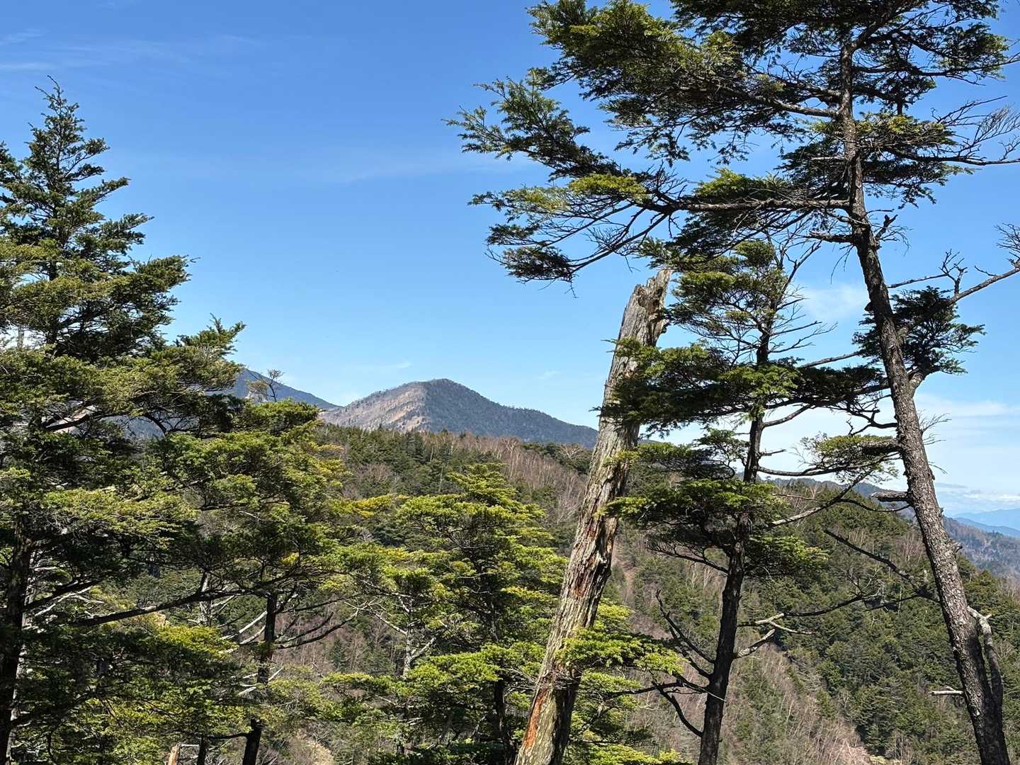 雁坂嶺