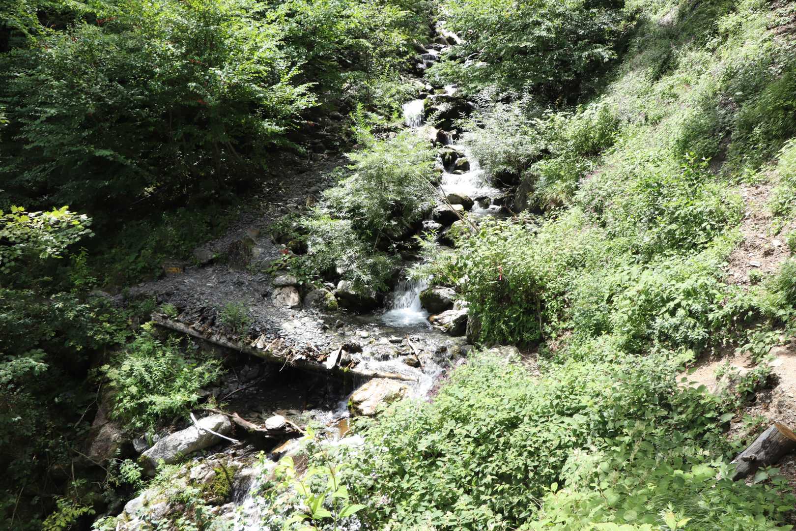 沢渡りもワイルドだろう