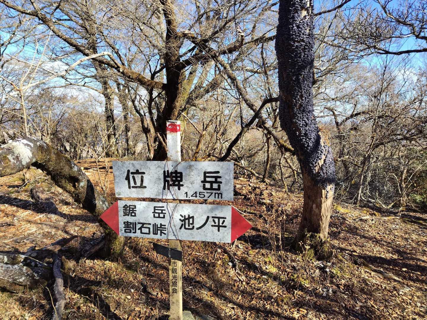 来ちゃった💕イハイガ