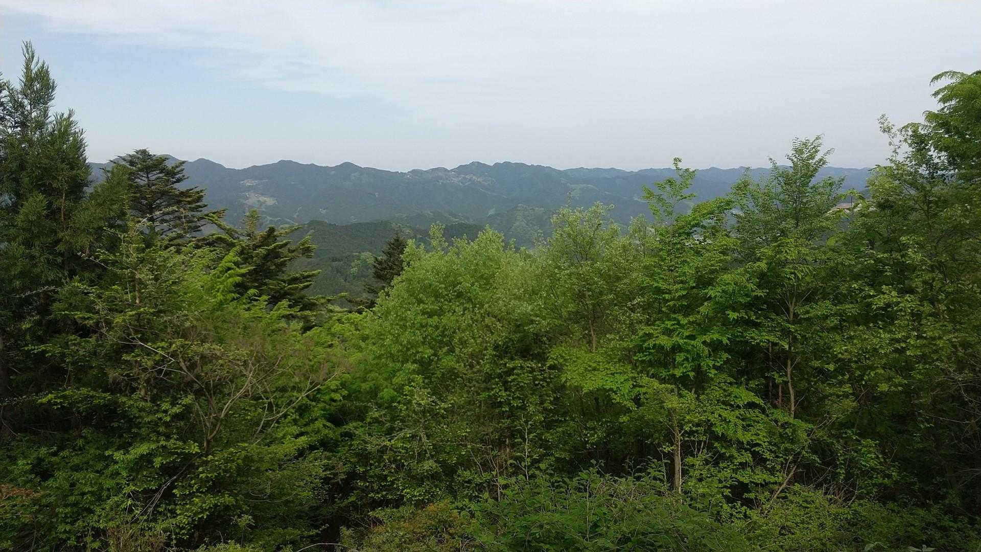 東吾野駅-天覚山-吾野ノ頭-大高山-栃屋ノ頭-六ツ石ノ頭- 縦走コースの写真