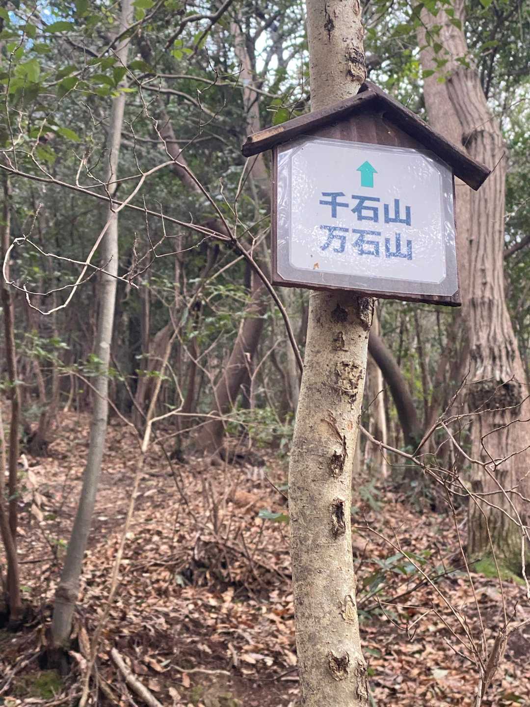 あーここまで大変やった🚗着いた！着いた！
スタート▶️結局全部、登山口いったよ😅