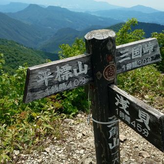 三角山から元橋にも下れるし、浅貝にも下れます🚶
スライドした方がついさっき熊出たと行ってましたが三国峠へ🚶
 ちなみにその人の月夜野IC付近の自宅まわりは熊、鹿、カモシカ、アナグマ、テン…大小動物出没するそうです😱