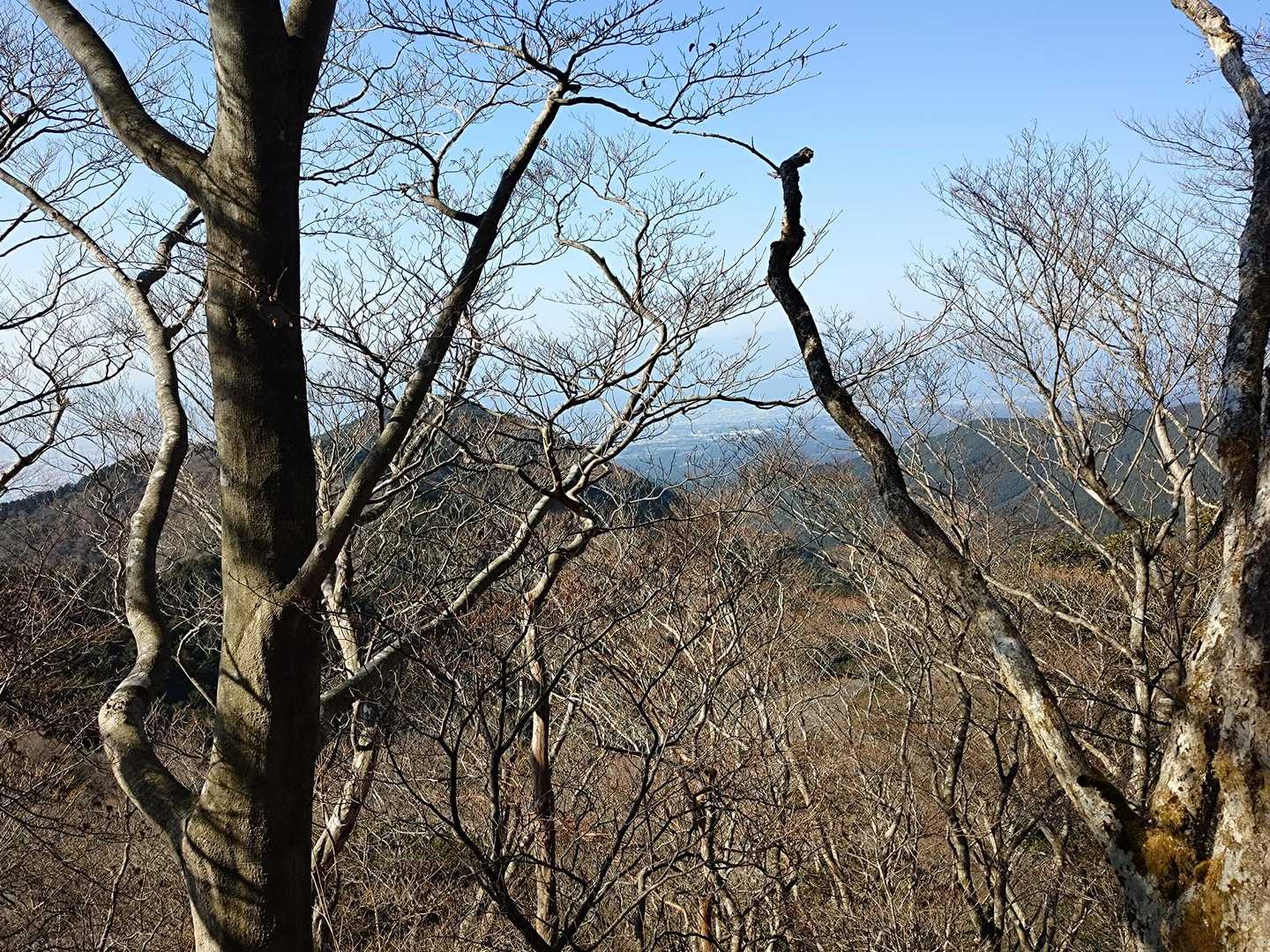 登りで写真撮ってないので下りながら撮っていきます。
隣には愛鷹山▲腰袴岳▲位牌岳▲かな❓️