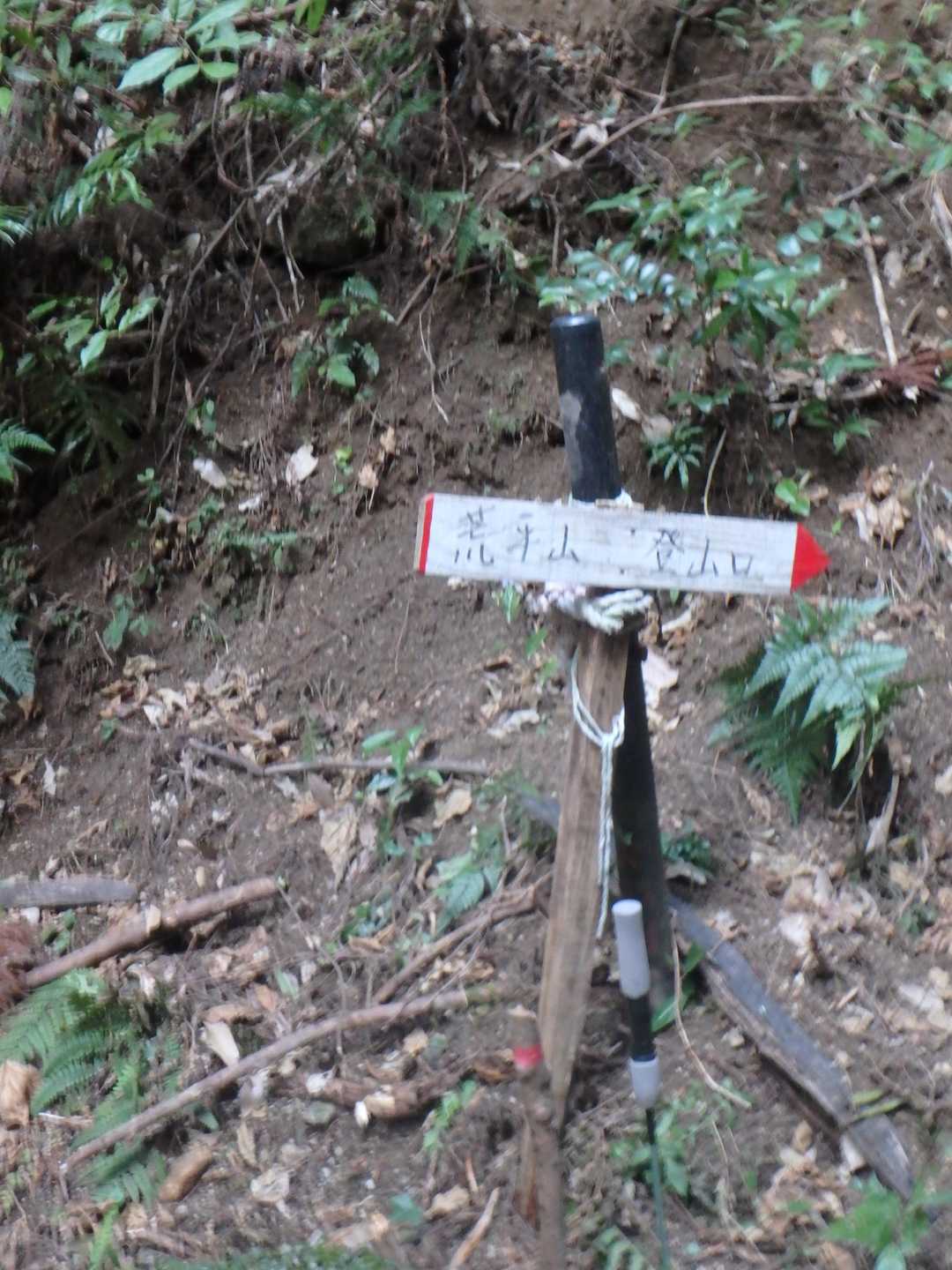 登山口