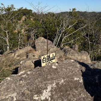 白狐山⛰️🦊
初めまして♡