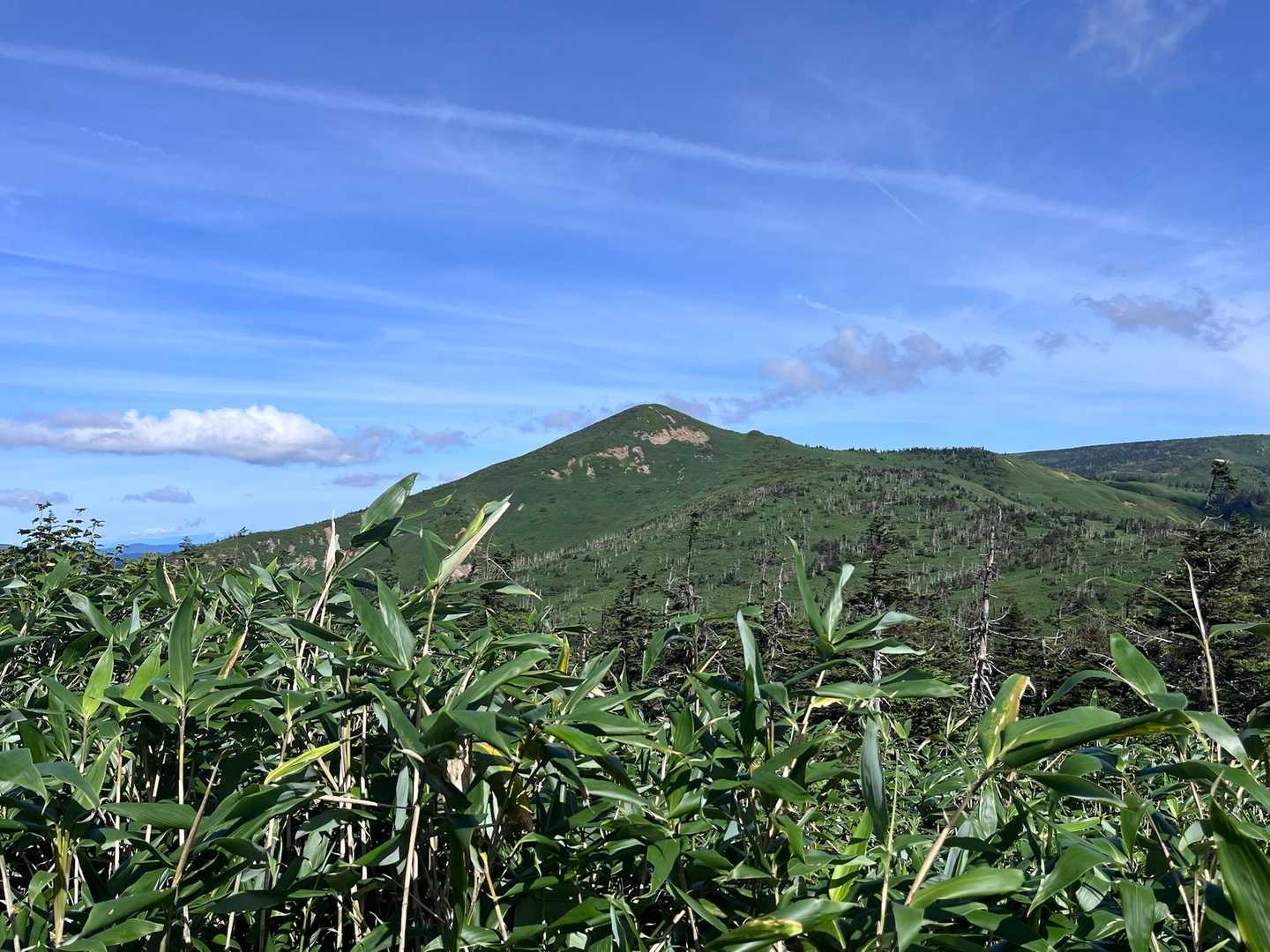 あっという間に畚岳が遠くに⛰️👋
