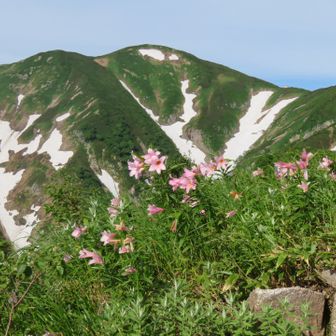 ゆか