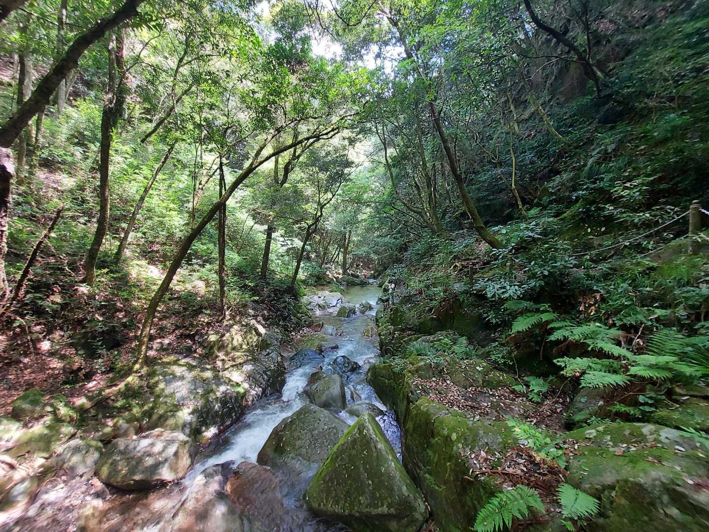 【野河内渓谷】福岡が誇る渓谷で豊かな自然美を満喫｜福岡・早良の写真