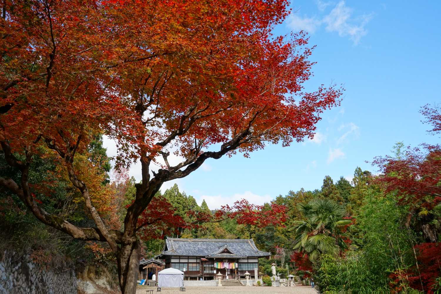 最後の第八十八番
薬師如来が安置されてます。
全体の1/4(22ヶ所)に薬師如来が安置されてました。真言オンコロコロ センダリマトウギ ソワカ 空で言えるように(笑)