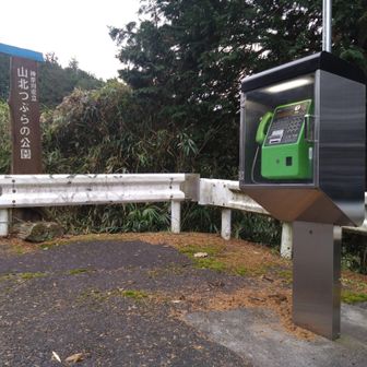 公衆電話
世にも奇妙な雰囲気