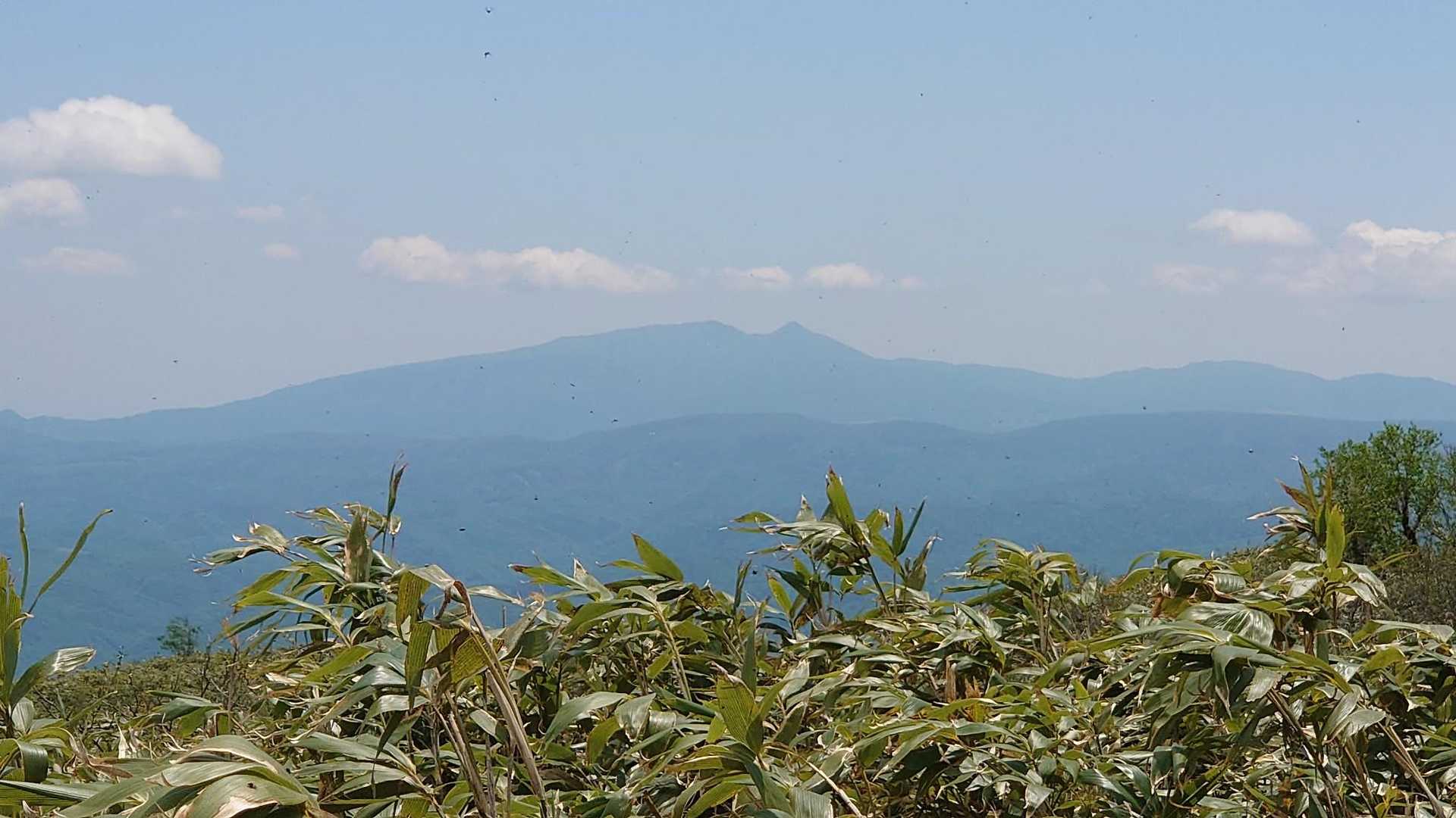 喜茂別コース入口-尻別岳 往復コースの写真
