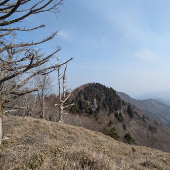 遠方からのお塔石の眺め。