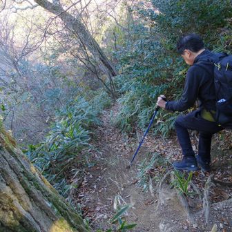 最初は下りが続きます。