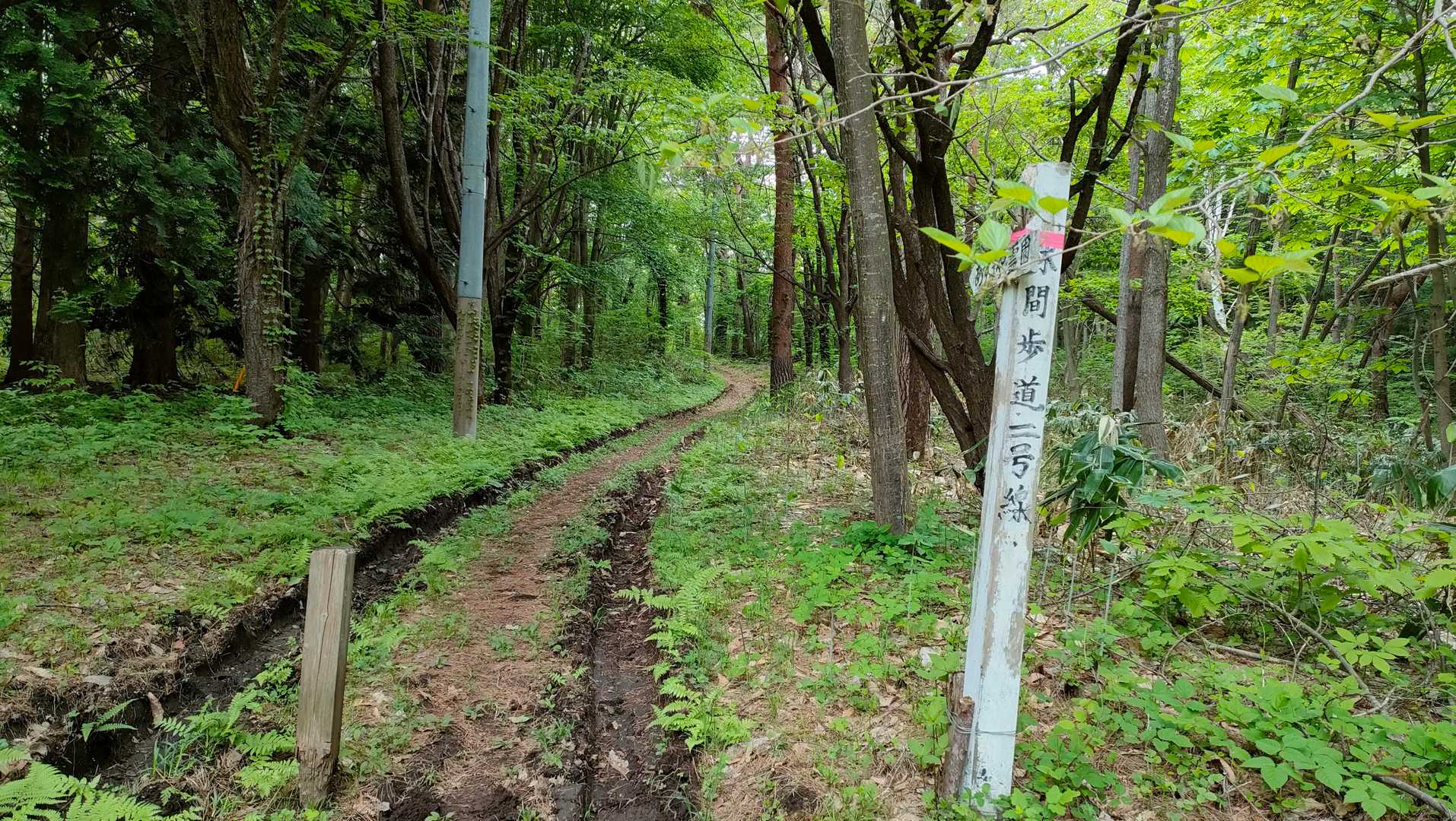 ここからが登山道なのかな