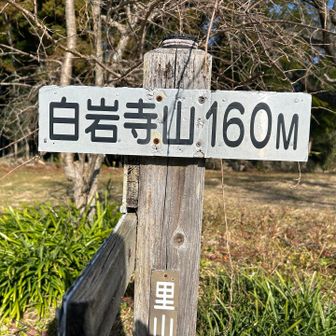 山頂が広い白岩寺山