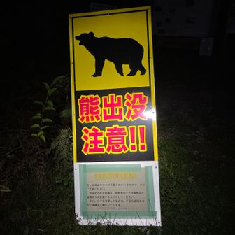 うん、暗いといっそう怖い。
