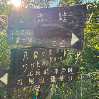 なかなか遠い💦