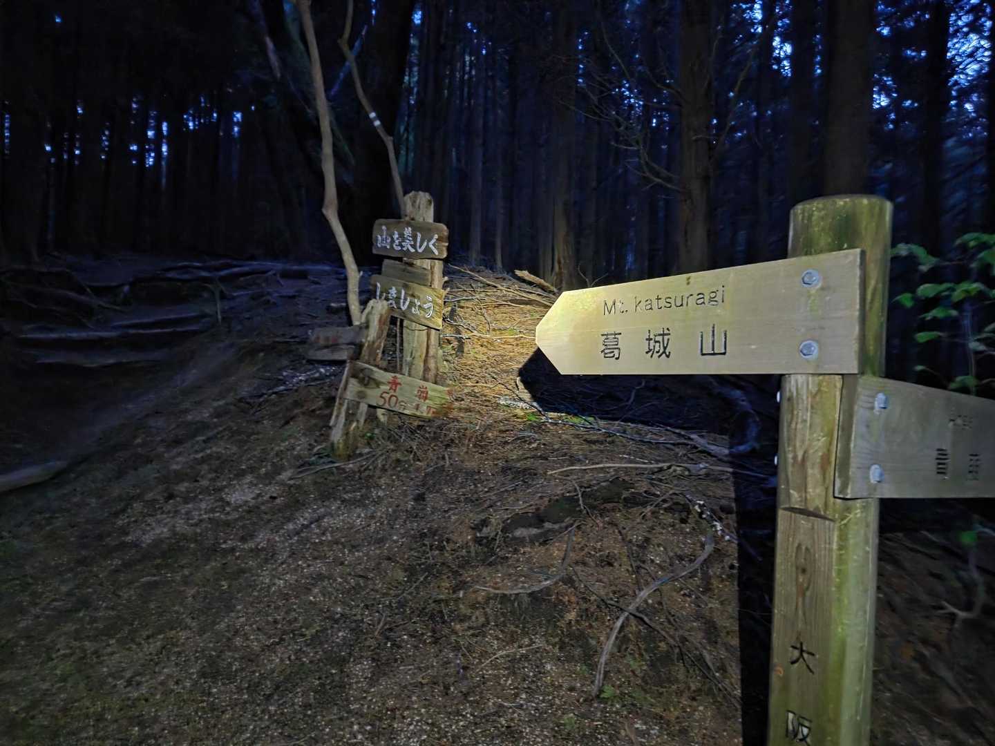 天狗谷は渡渉もあるけど、ナイトでも比較的分かりやすく水量も多くない。沢を離れたら階段地獄の始まり💨
汗だくで半袖👕