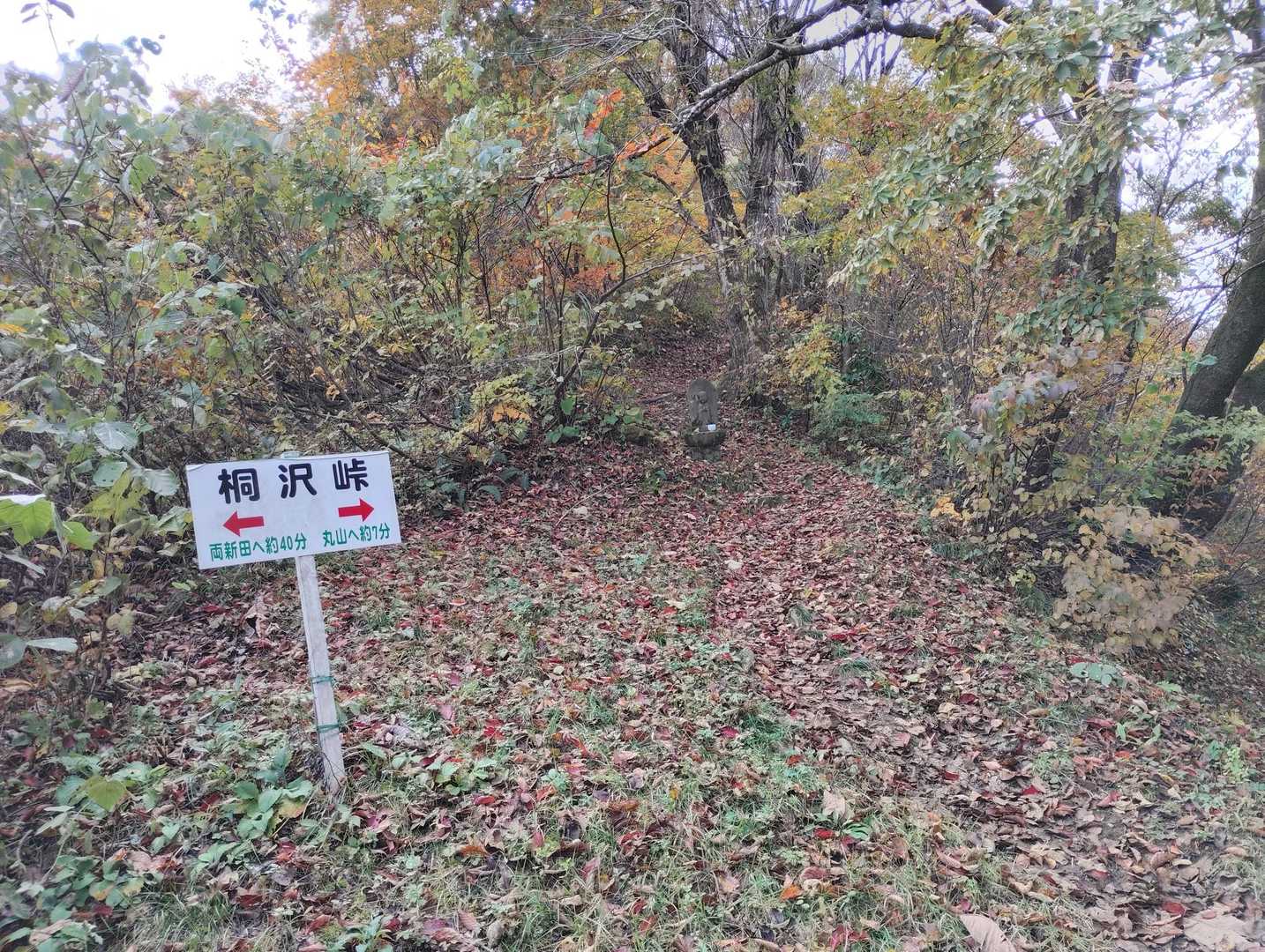 桐沢峠、丸山に向かう