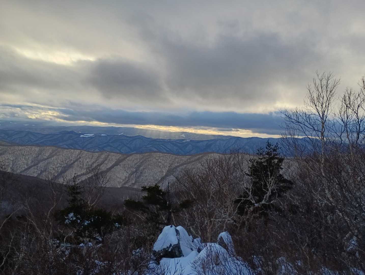 遠島山登山口-遠島山 往復コースの写真