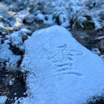 雪(行書体)