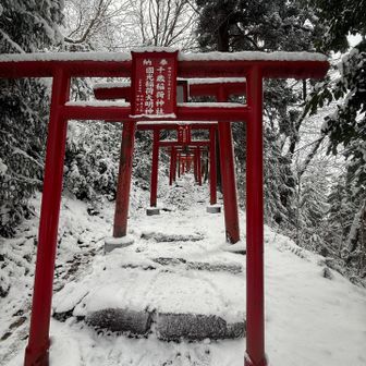 昨日の雪で積もってますが…