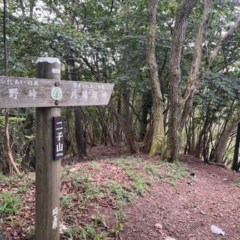 二子山