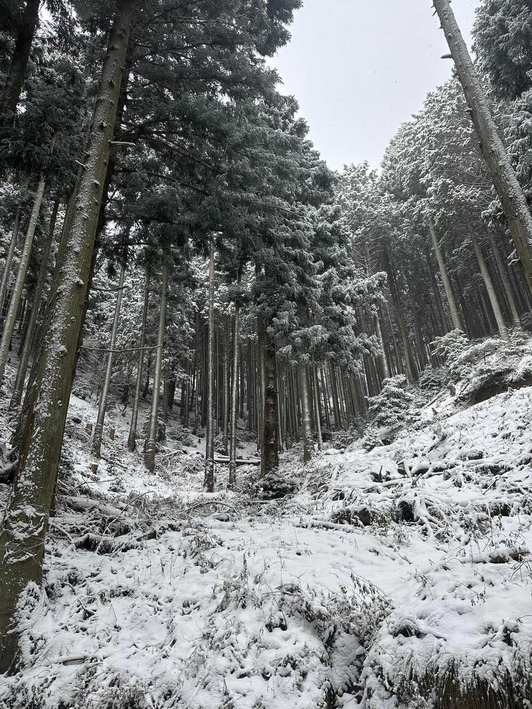 霊仙山権現山登山口-権現山-ホッケ山 往復コースの写真