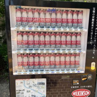 宝塚はウィルキンソン発祥の地らしく
全てウィルキンソンの自販機発見
おいしくいただきました！
下山後のウィルキンソン最高でした✨