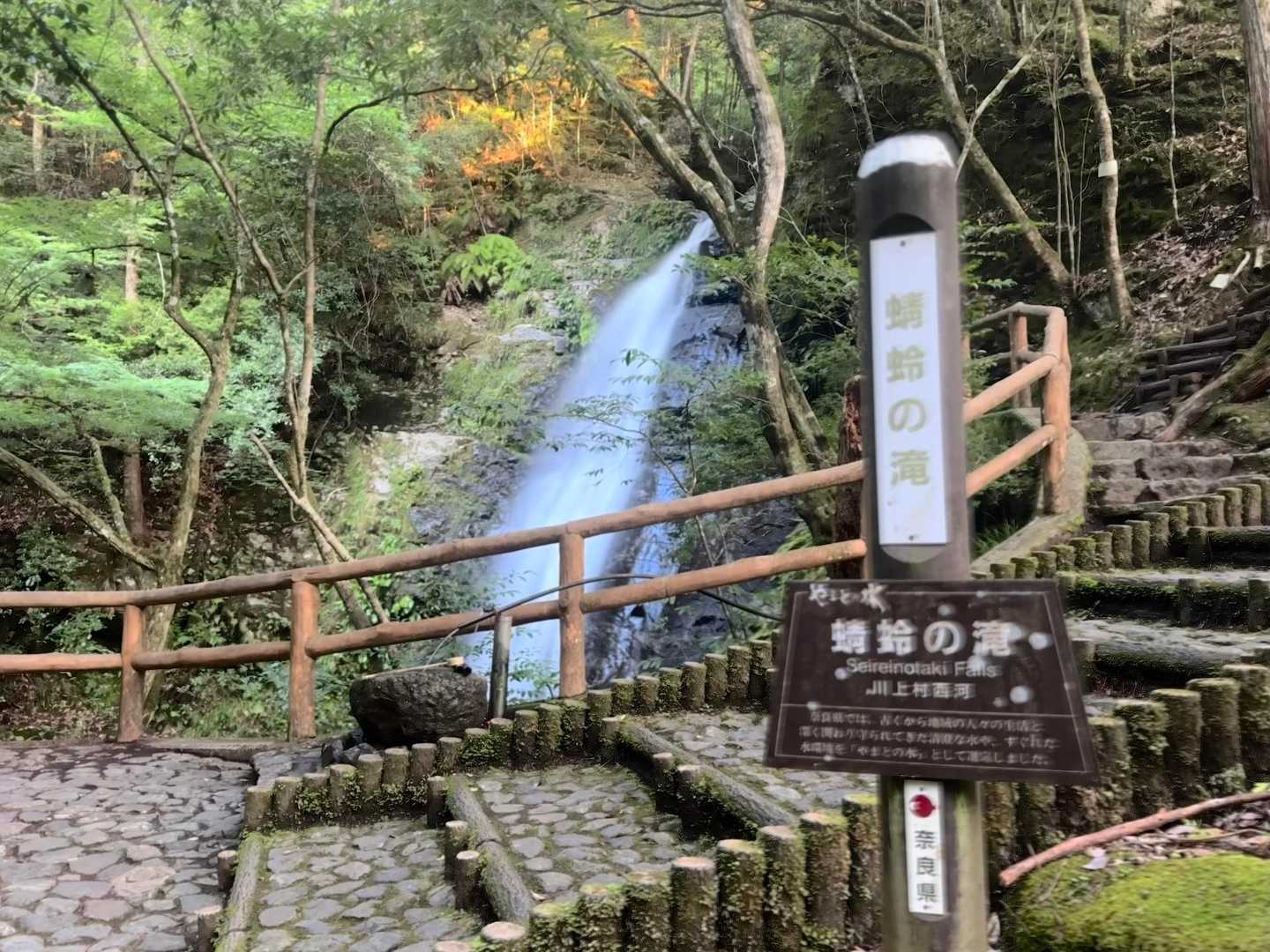 蜻蛉の滝‼️  
初めて来たけど、雰囲気めっちゃいいやん‼️
( ´∀｀)👍🏻
