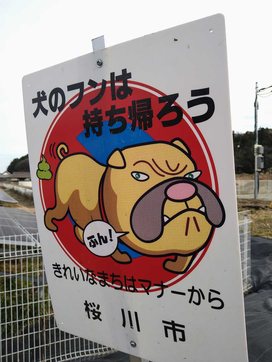 ですね😅