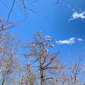 雪はほぼなくけっこうトロトロところ多い