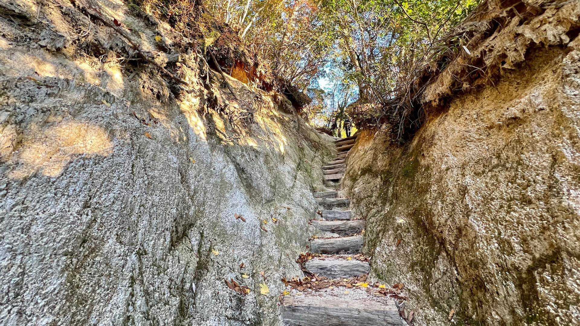 中登山口-御在所岳-国見峠 周回コースの写真