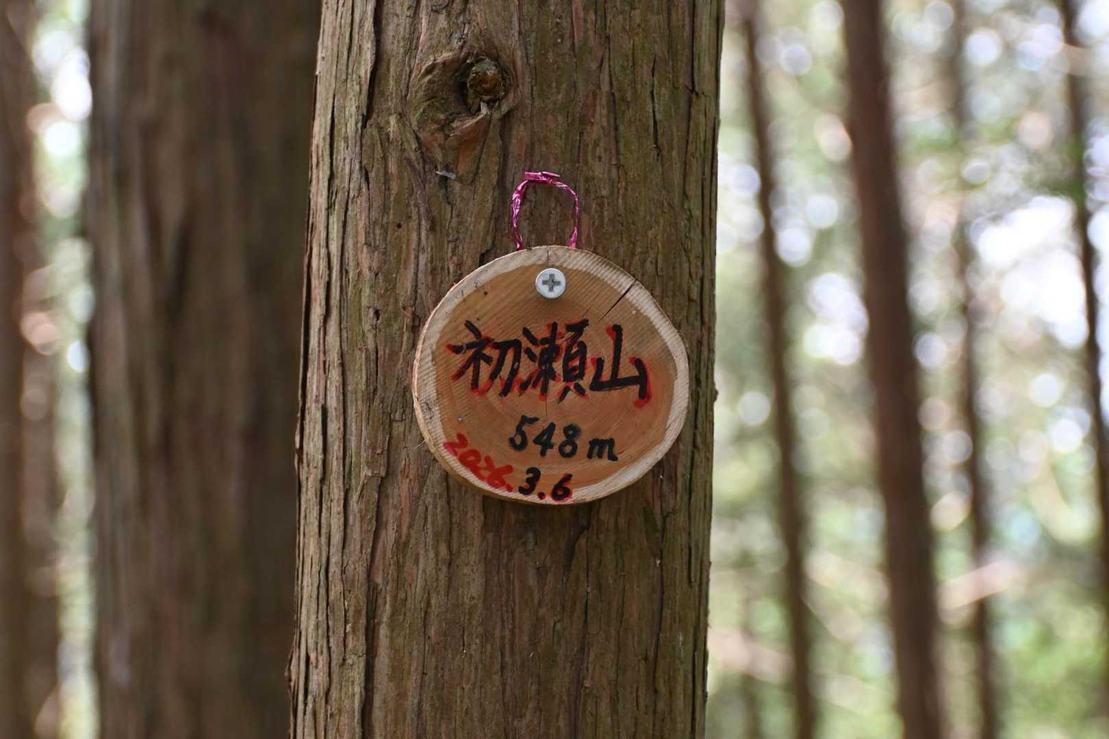大和朝倉駅-白山登り口-白山-巻向山-高山神社-初瀬山-初 縦走コースの写真