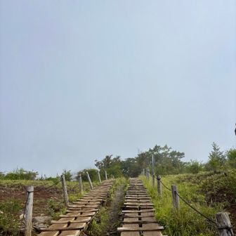 まっしろ滑走路