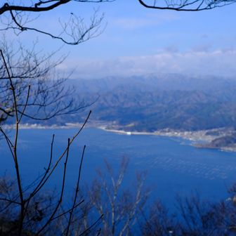 船越湾
筏がたくさん