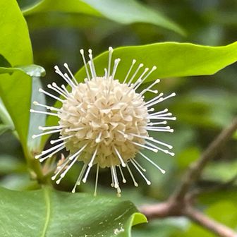 植物の世界

面白いね💕︎