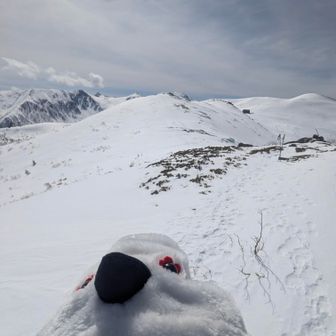 今日もご雷鳥叶わなそう…