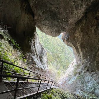 ここから見ると！猫型🐱