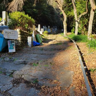 お墓の隣を通るので、少々気が引けるが🅿️の道路を挟んだ向かい側より登り始める。
