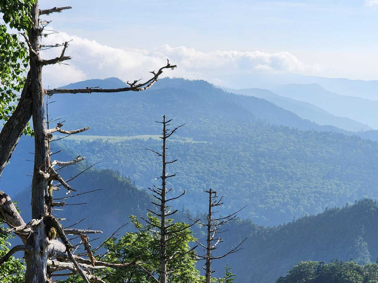鬼怒沼まで見渡すことができました。あの山の向こうに👹ラスボス黒岩山が、、、





