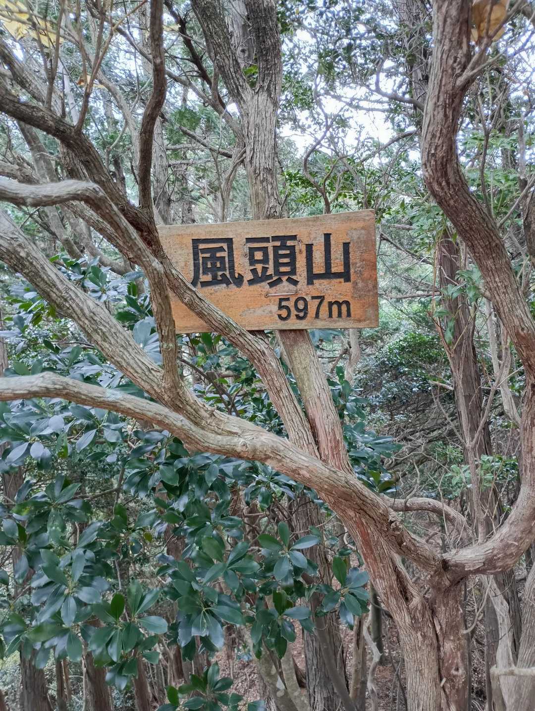 風頭山-大日山 往復コースの写真