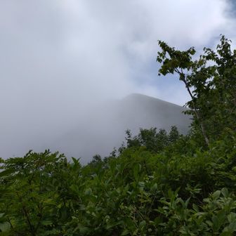 芽室岳が顔だす