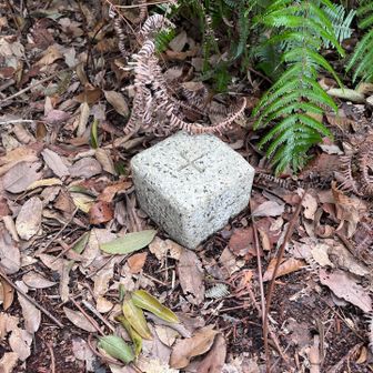三角点　ここの少し下に　山頂標識