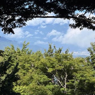 滝戸山からは少し展望がある