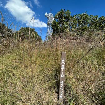 結局舗装路に出たので、そのまま舗装路から山頂行けたのかも？
家から1番近い山なので、眺望期待してたけど、眺望なしだった💦
いつも下界から見える電波塔はあれか！
そして太平山過ぎてから、だんだん蜘蛛の巣多くなってきた😩