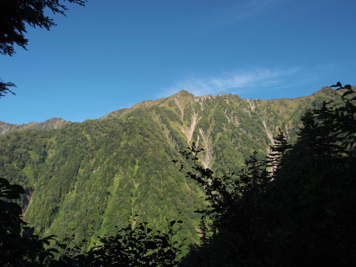 柏原新道登山口-爺ヶ岳 往復コースの写真