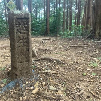 登りきった
山頂すぐそこ